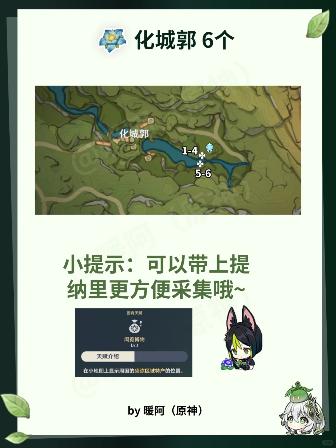 小草神纳西妲突破材料速刷点位图