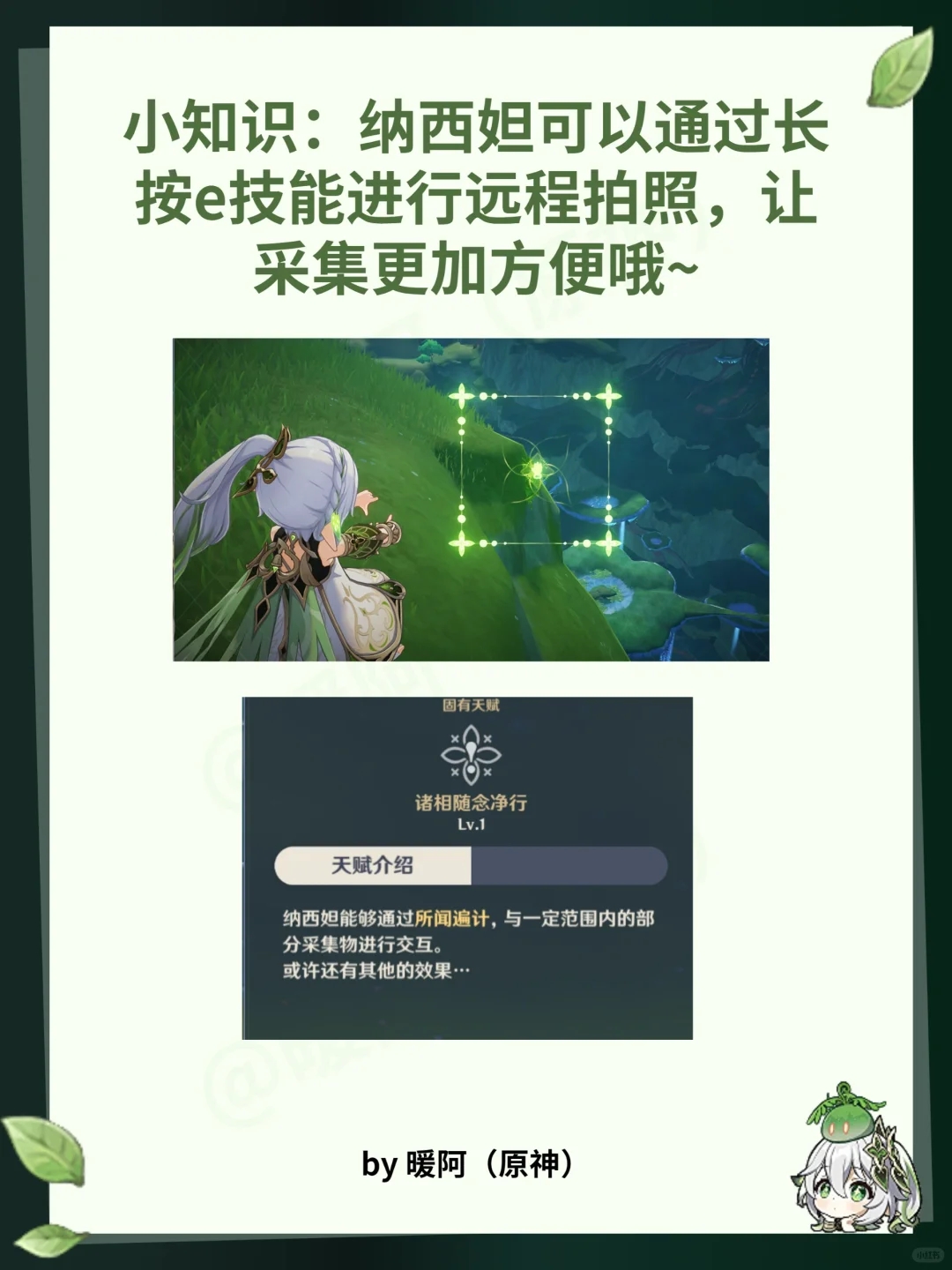 小草神纳西妲突破材料速刷点位图