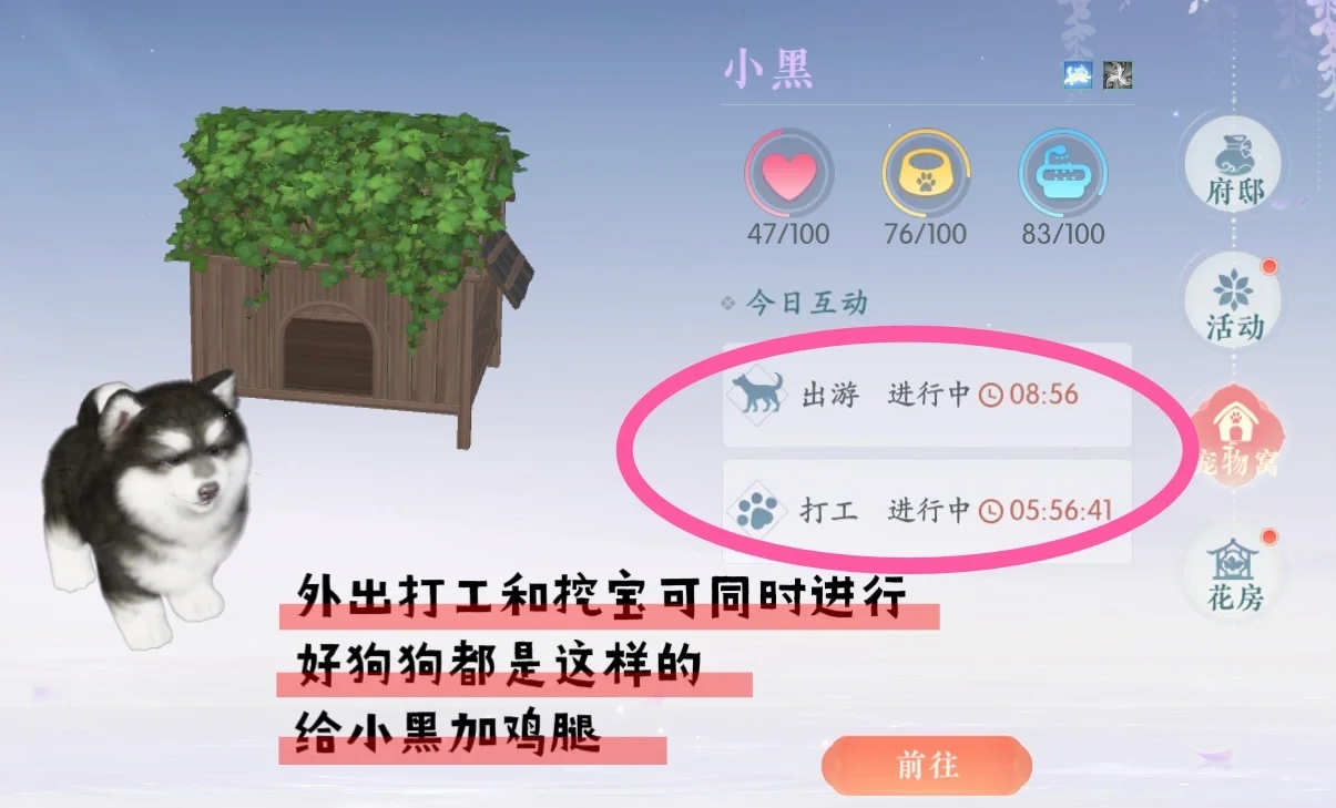 看完后悔系列 怎么没早点发现！