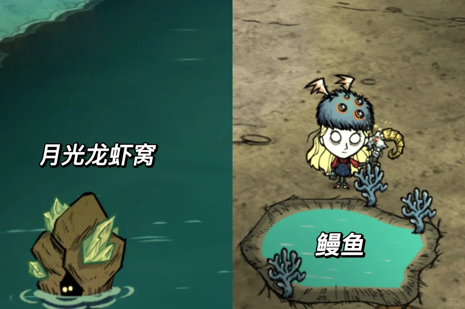 📝【饥荒·海钓教程篇🎣】